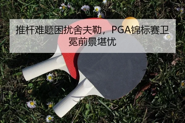 tui-gan-nan-ti-kun-rao-she-fu-lei-jin-biao-sai-wei-mian-qian-jing-kan-you-2-557.jpg